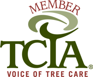 Member of TCIA