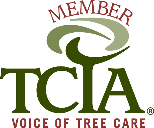Member of TCIA