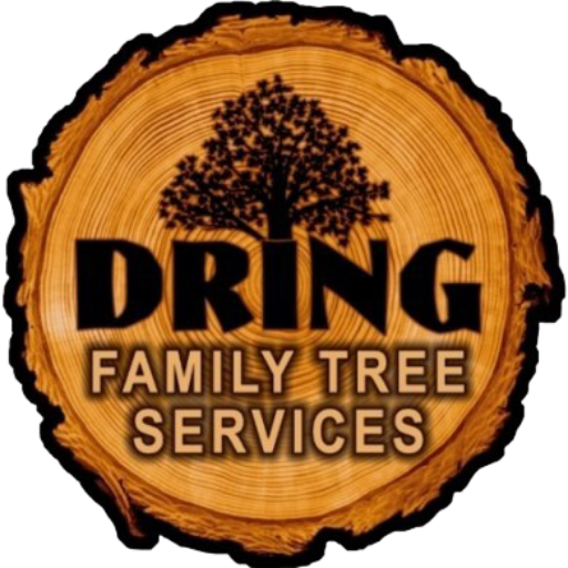 Professional Tree Cutting Services - Family Tree Services, Inc.