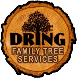 Dring Family Tree Service logo